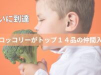 ブロッコリーが指定野菜になった驚きの事実とその効果 「野菜のサブスクも紹介」